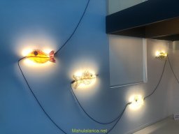 Exposición de Flyppy 2023